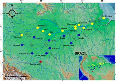 A Multilocus Approach to Understanding Historical and Contemporary Demography of the Keystone Floodplain Species Colossoma macropomum (Teleostei: Characiformes)